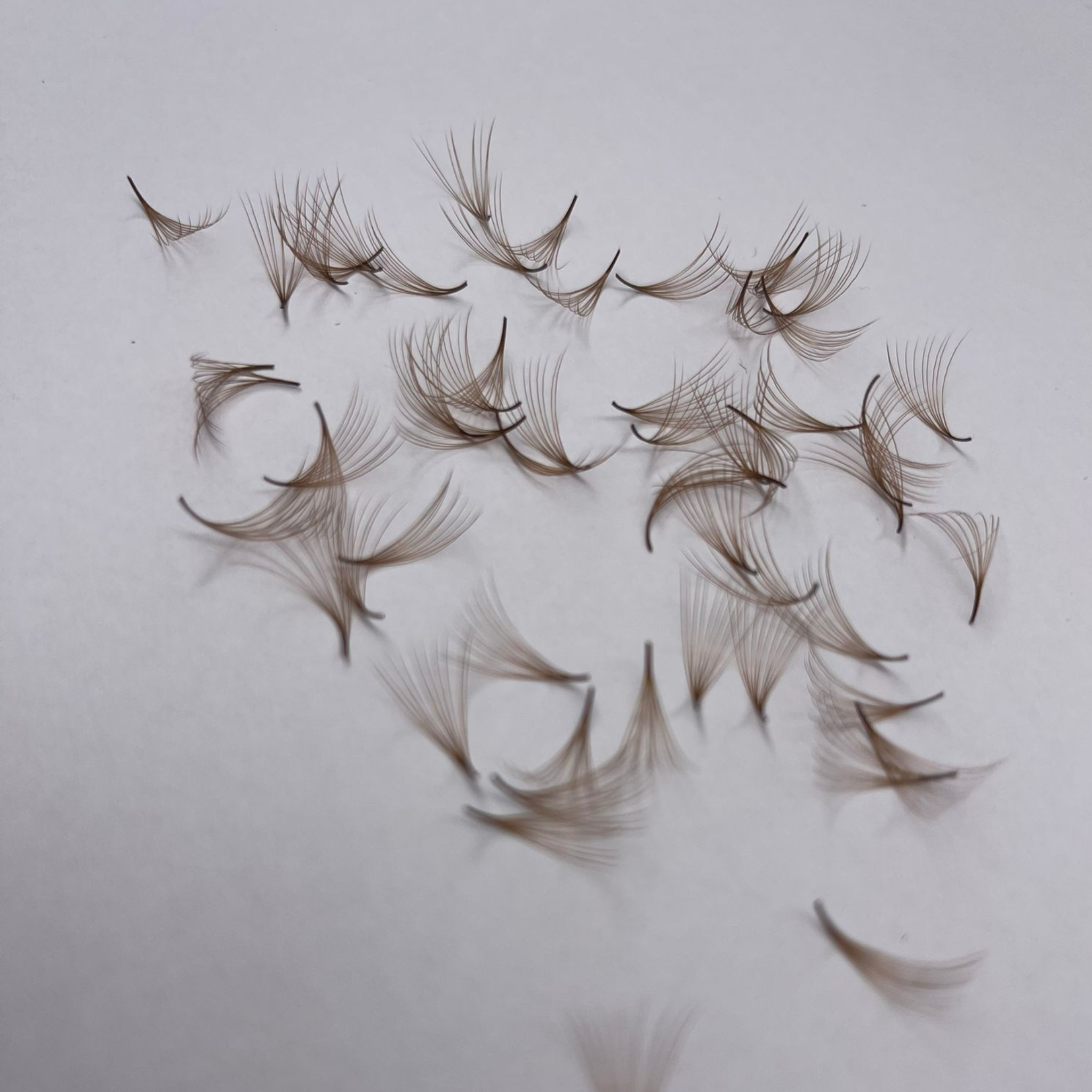 1000 Fans Premade 4D Volume Eyelash Extensions – Handmade Black Silk Lashes, Long & Medium Mix