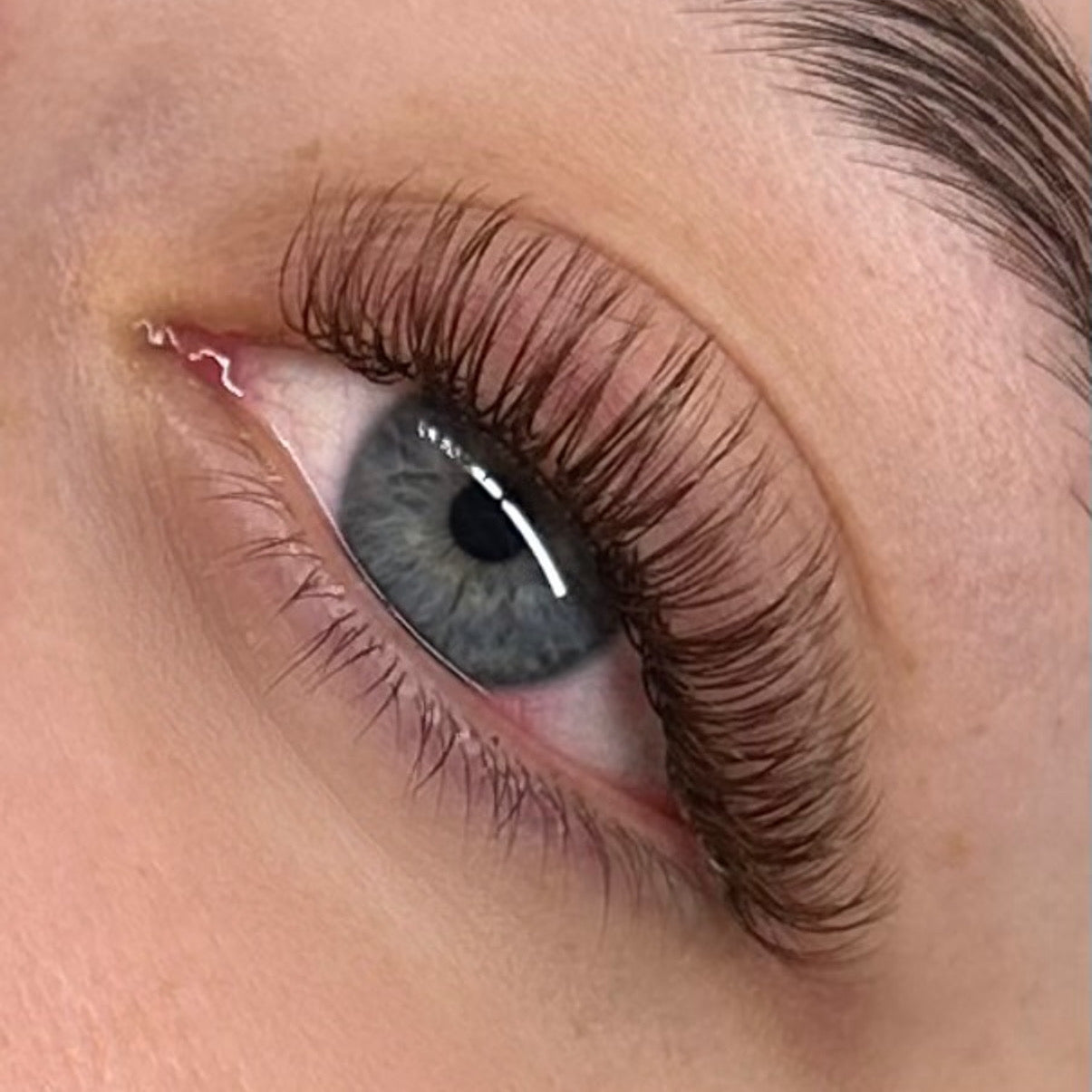 BROWN ANGEL LASHES