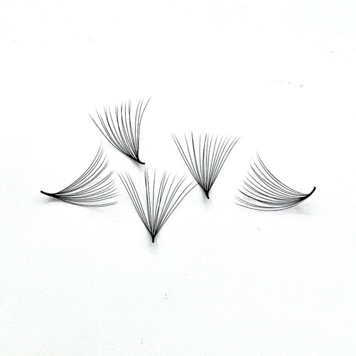 PROMADE 16D 1000 LASHES – PHAT LASH UK