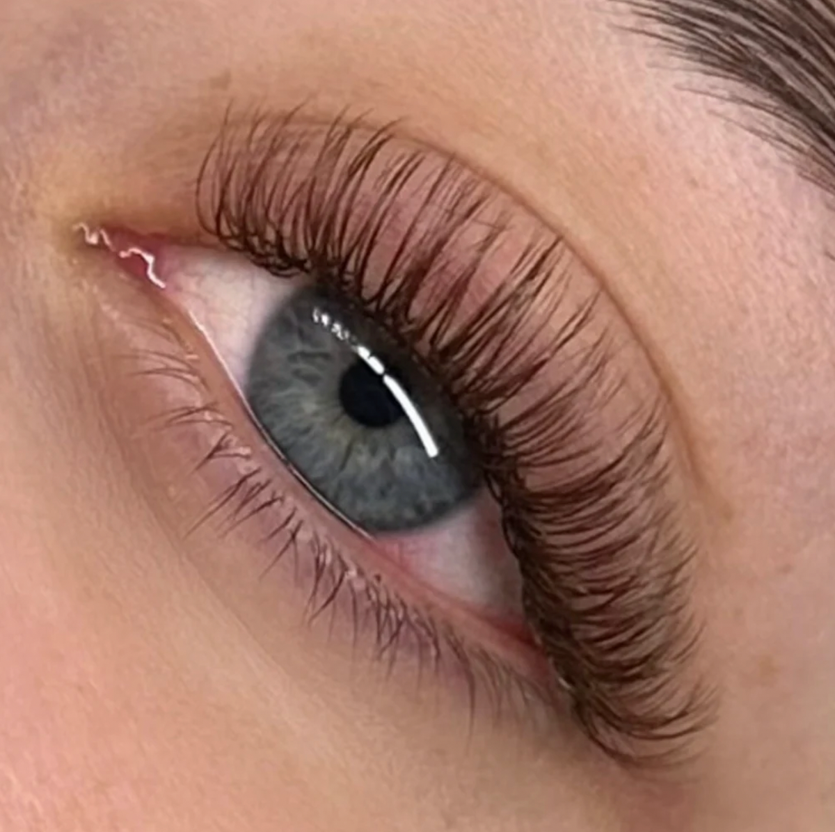 TEDDY BROWN CLASSIC LASHES